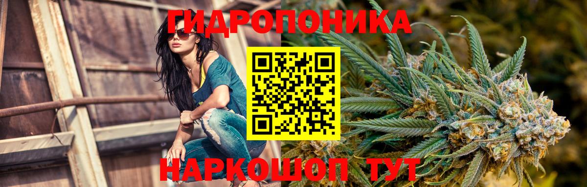 Канабис Amnesia  Шишки марихуана OG Kush  Марихуана тримм  Вход с VPN  Гурьевск 